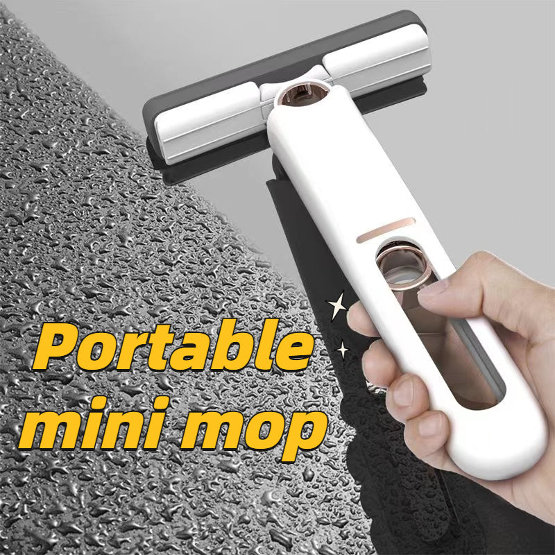 The Mini-Mop™